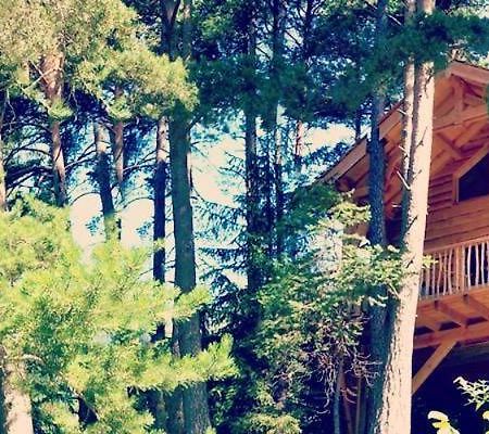 Les Cabanes Des Pins Sylvestres Saint-Martin-Vésubie エクステリア 写真