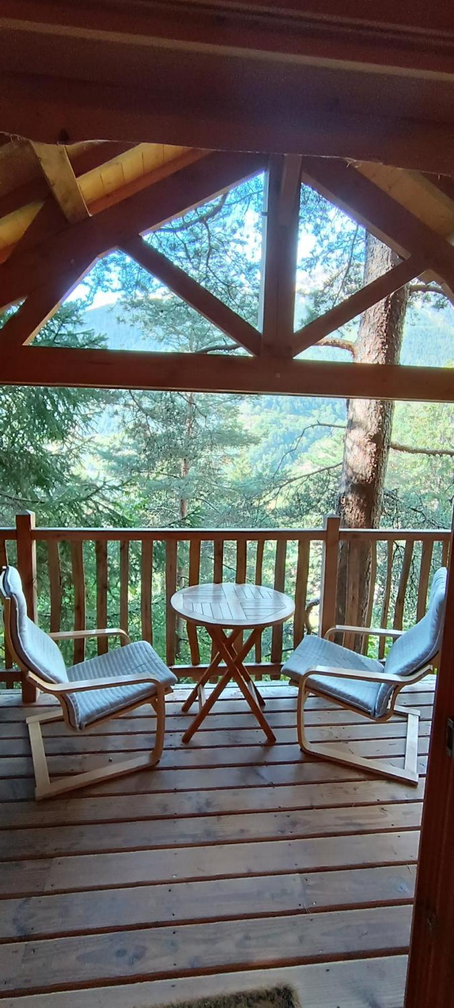 Les Cabanes Des Pins Sylvestres Saint-Martin-Vésubie エクステリア 写真